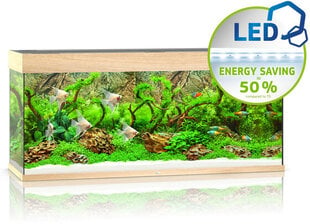 Akvariumas Juwel LED RIO 240l, šviesus medis, su įranga цена и информация | Аквариумы и оборудование | pigu.lt