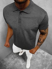 Polo marškinėliai vyrams Casual, pilki kaina ir informacija | Vyriški marškinėliai | pigu.lt