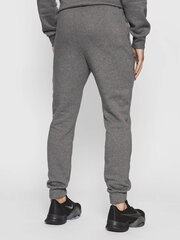 Nike Спортивные Брюки Fleece Sweatpant Grey CW6907 071 CW6907 071/2XL цена и информация | Мужские термобрюки, темно-синие, SMA61007 | pigu.lt