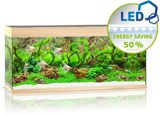 Akvariumas Juwel RIO LED 350l, šviesus medis kaina ir informacija | Akvariumai ir jų įranga | pigu.lt