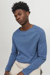 Свитер JACK & JONES 12157321PACIFICCOAST-S цена и информация | Мужской джемпер | pigu.lt