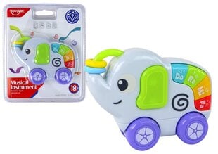Interaktyvus žaislas Drambliukas su ratukais цена и информация | Развивающие игрушки | pigu.lt