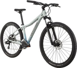 Kalnų dviratis Cannondale Trail 8 27/29", pilkas kaina ir informacija | Dviračiai | pigu.lt