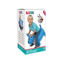 Šokinėjimo žaislas Ludi, mėlynas kaina ir informacija | Žaislai kūdikiams | pigu.lt