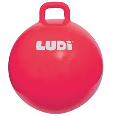 Šokinėjimo kamuolys Ludi, 55 cm, raudonas kaina ir informacija | Žaislai kūdikiams | pigu.lt
