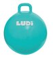 Šokinėjimo kamuolys Ludi, 55 cm, mėlynas kaina ir informacija | Žaislai kūdikiams | pigu.lt