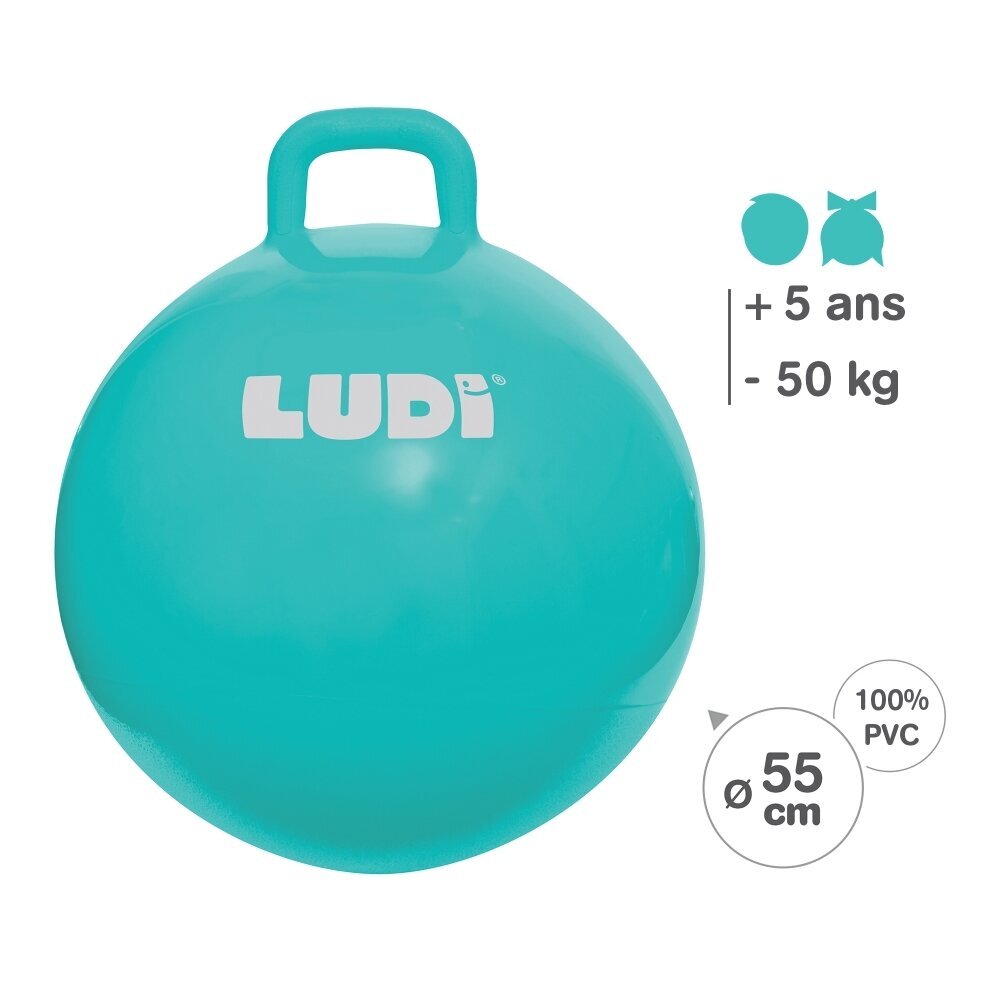 Šokinėjimo kamuolys Ludi, 55 cm, mėlynas kaina ir informacija | Žaislai kūdikiams | pigu.lt