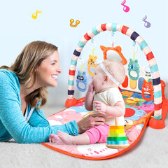 Детский игровой коврик с пианино и игрушками цена и информация | Развивающие коврики | pigu.lt