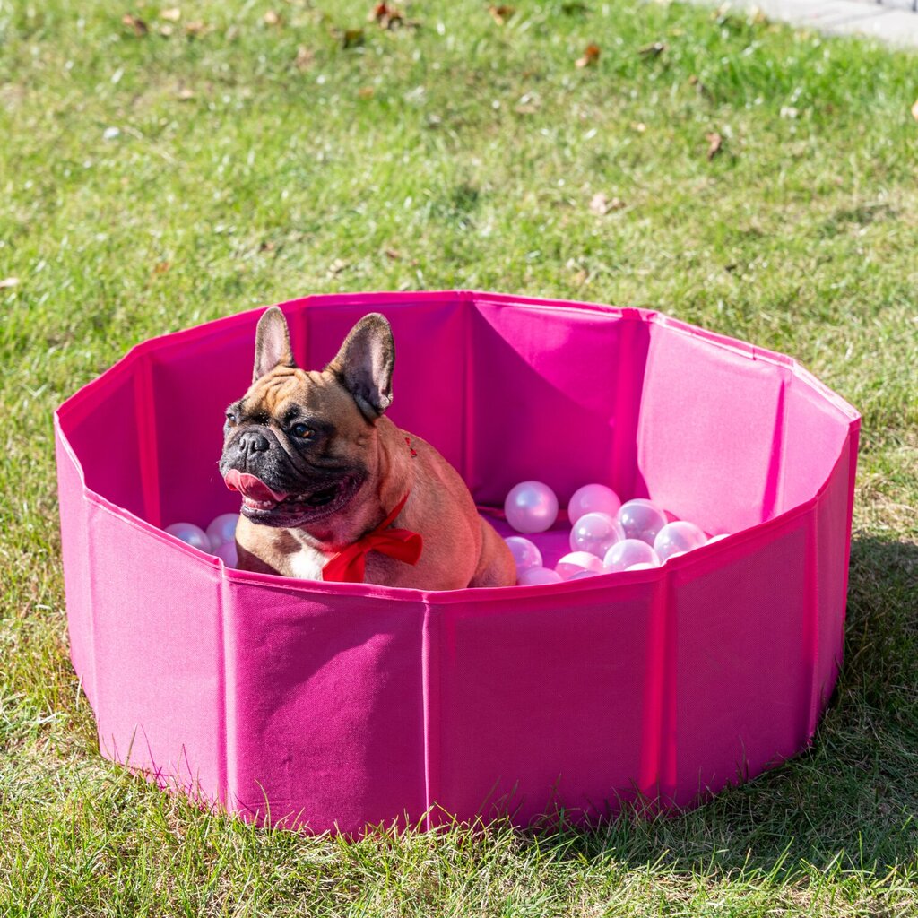 Sulankstomas kamuoliukų baseinas augintiniams Petsona, 100 kamuoliukų, rožinis цена и информация | Žaislai šunims | pigu.lt