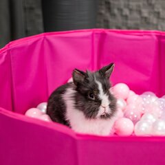 Petsona складной мяч бассейн мяч бассейн мяч бассейн для собак для кошек 100 шаров круглый кот кролик игрушка домашних животных собака бассейн для животных бассейн портативный, розовый цена и информация | Игрушки для собак | pigu.lt
