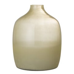 Vaza 113 V 30 cm kaina ir informacija | Vazos | pigu.lt
