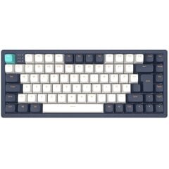 Dark Project KD83A Blue-White, G3MS Sapphire Switch, UK/DE/AT/ES/IT/FI/NO/SE/DK цена и информация | Клавиатуры | pigu.lt