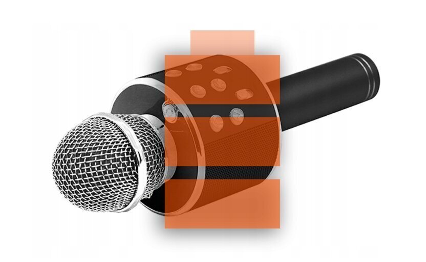 Bluetooth karaoke mikrofonas su LED apšvietimu Manta, juodas kaina ir informacija | Lavinamieji žaislai | pigu.lt