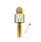 Bluetooth karaoke mikrofonas su LED apšvietimu Manta, auksinis kaina ir informacija | Lavinamieji žaislai | pigu.lt