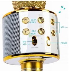 Bluetooth караоке-микрофон с LED-подсветкой Manta, золотой цена и информация | Развивающие игрушки | pigu.lt