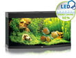 Akvariumas Juwel Vision LED 260l. Juodas, Su įranga цена и информация | Akvariumai ir jų įranga | pigu.lt
