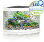 Akvariumas Juwel, Trigon LED 190l. Kampinis, Baltas kaina ir informacija | Akvariumai ir jų įranga | pigu.lt