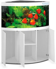 Akvariumas Kampinis, Juwel Trigon LED 350l. Baltas kaina ir informacija | Akvariumai ir jų įranga | pigu.lt