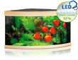 Akvariumas Kampinis, Juwel Trigon LED 350l. Šviesus medis kaina ir informacija | Akvariumai ir jų įranga | pigu.lt