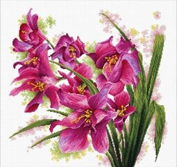 Siuvinėjimo kryželiu rinkinys Needleart World Orchidėjos, 39x39 kaina ir informacija | Siuvinėjimo priemonės | pigu.lt