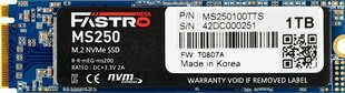 MegaFastro MS250 (MS250100TTS) цена и информация | Внутренние жёсткие диски (HDD, SSD, Hybrid) | pigu.lt