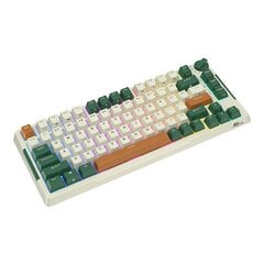 Wireless mechanical keyboard Royal Kludge RKH81 RGB, Sky cyan switch (green) цена и информация | Клавиатуры | pigu.lt