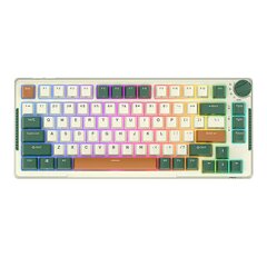 Wireless mechanical keyboard Royal Kludge RKH81 RGB, Sky cyan switch (green) цена и информация | Клавиатуры | pigu.lt