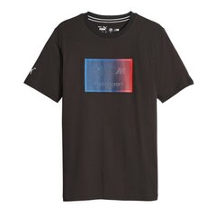 Puma marškinėliai vyrams 83754, rudi цена и информация | Мужские футболки | pigu.lt