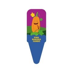 Didieji moliūgai Pink Banana Jumbo Kakė Makė Sodolendas цена и информация | Семена овощей, ягод | pigu.lt