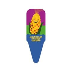 Dekoratyviniai kukurūzai Multicolor Hybrids (Amero) Kakė Makė Sodolendas kaina ir informacija | Daržovių, uogų sėklos | pigu.lt