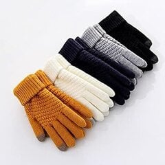 Зимние перчатки C108011-8, темно-синие цена и информация | Женские перчатки | pigu.lt