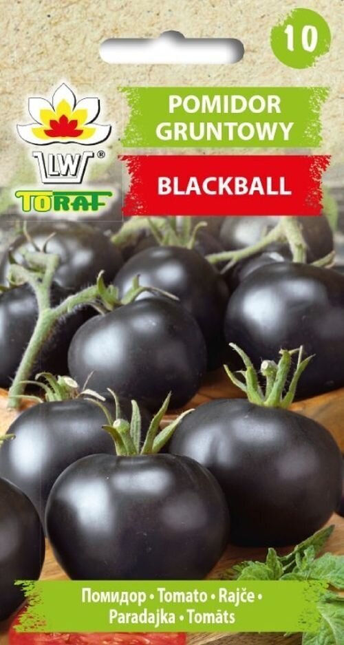 Vyšniniai pomidorai BLACKBALL kaina ir informacija | Daržovių, uogų sėklos | pigu.lt