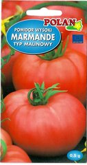 Семена помидоры ранние Марманде цена и информация | Семена овощей, ягод | pigu.lt