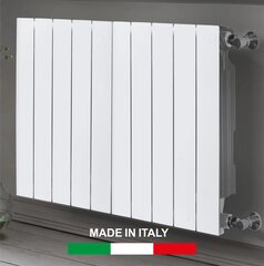 Aliuminio radiatorius Plus Evo 4, Italija kaina ir informacija | Radiatoriai, konvektoriai | pigu.lt
