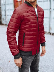 Striukė vyrams Minti JS/MY02Z-52911, raudona цена и информация | Мужские куртки | pigu.lt