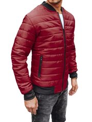 Striukė vyrams Minti JS/MY02Z-52911, raudona цена и информация | Мужские куртки | pigu.lt