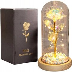 Стабилизированная роза со светодиодной подсветкой цена и информация | Спящие стабилизированные розы, растения | pigu.lt
