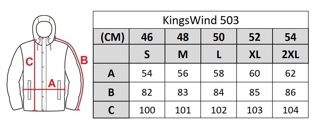 Striukė vyrams Kings Wind 503, juoda цена и информация | Vyriškos striukės | pigu.lt