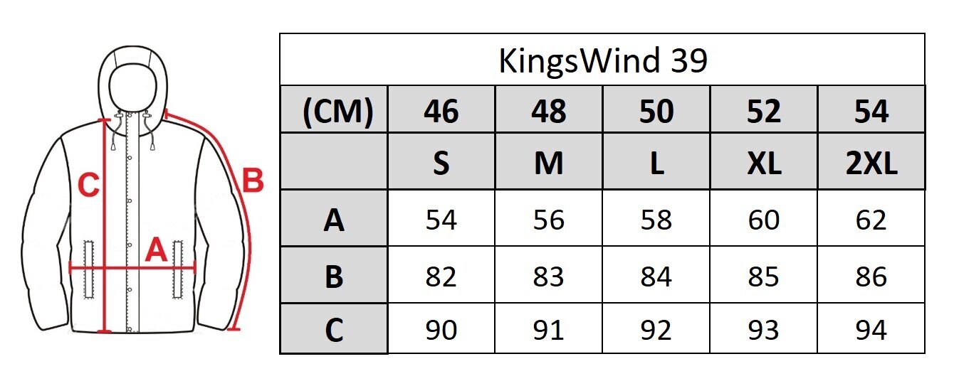 Striukė vyrams Kings Wind 39, juoda kaina ir informacija | Vyriškos striukės | pigu.lt