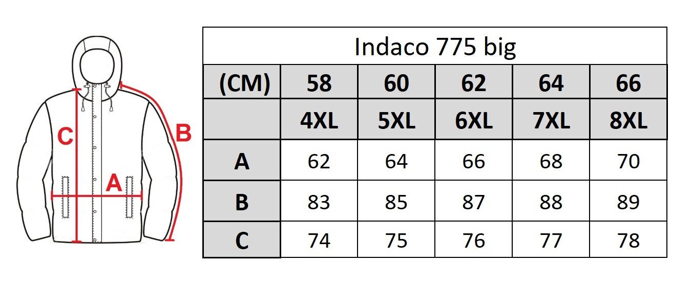 Striukė vyrams Indaco 775, mėlyna kaina ir informacija | Vyriškos striukės | pigu.lt