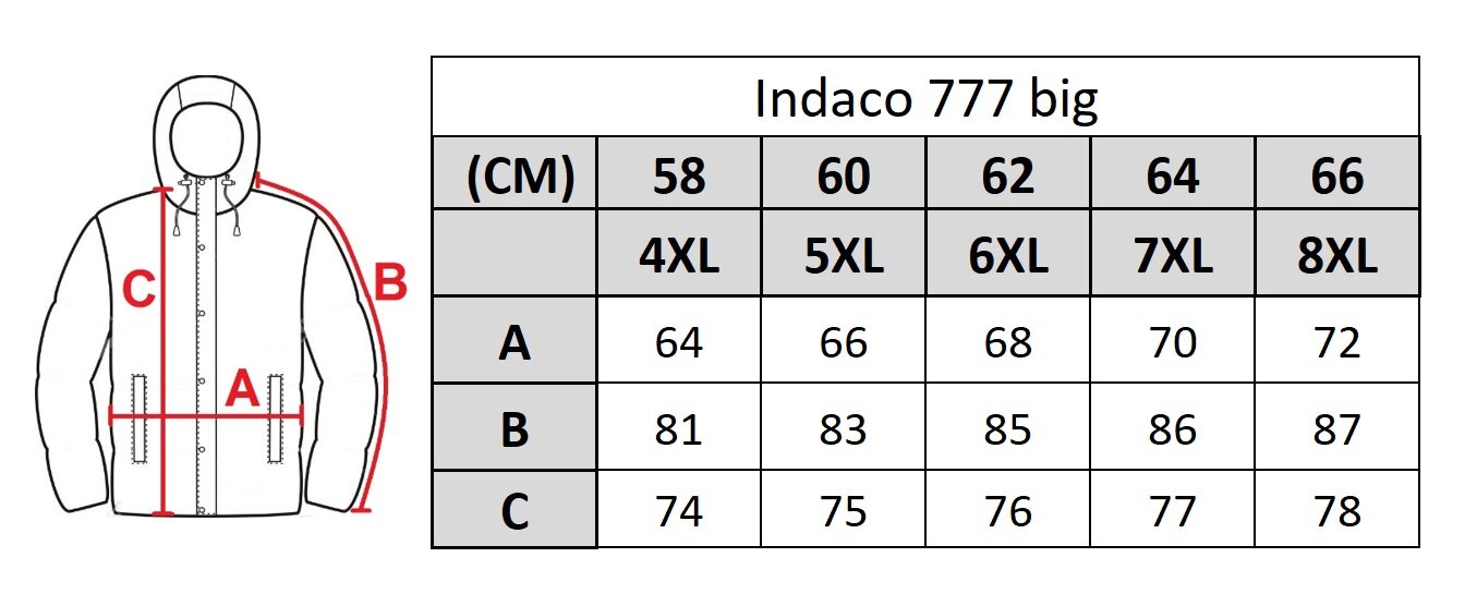 Striukė vyrams Indaco 777, mėlyna цена и информация | Vyriškos striukės | pigu.lt