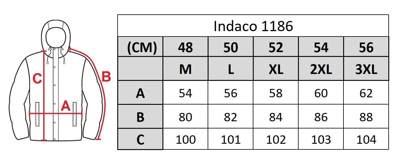 Striukė vyrams Indaco 1186, juoda kaina ir informacija | Vyriškos striukės | pigu.lt