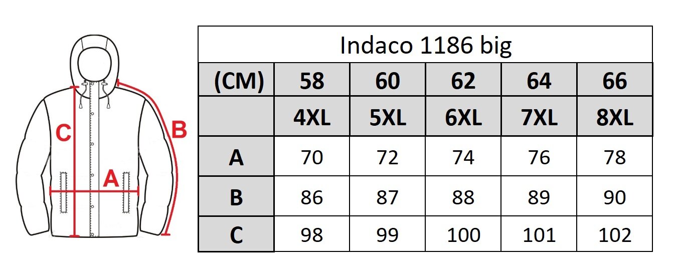 Striukė vyrams Indaco 1186, mėlyna цена и информация | Vyriškos striukės | pigu.lt