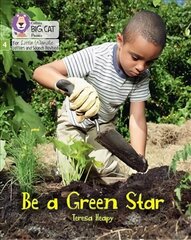 Be a Green Star: Phase 4 Set 2 Stretch and Challenge kaina ir informacija | Knygos paaugliams ir jaunimui | pigu.lt