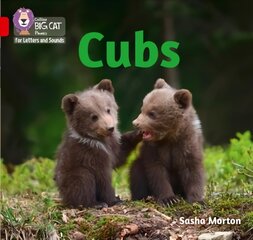 Cubs: Band 02a/Red a kaina ir informacija | Knygos paaugliams ir jaunimui | pigu.lt