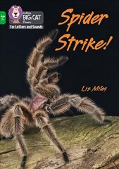 Spider Strike!: Band 05/Green kaina ir informacija | Knygos paaugliams ir jaunimui | pigu.lt