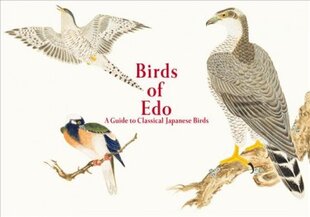 Birds of Edo: A Guide to Classical Japanese Birds kaina ir informacija | Knygos apie meną | pigu.lt