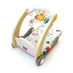 Развивающий коврик-ходунок с аксессуарами цена и информация | Игрушки для малышей | pigu.lt