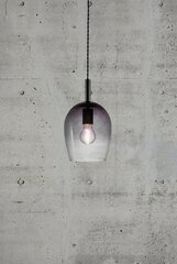 Nordlux подвесной светильник Uma 2112703047 цена и информация | Люстры | pigu.lt