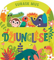 Surask mus džiunglėse! цена и информация | Книги для детей | pigu.lt